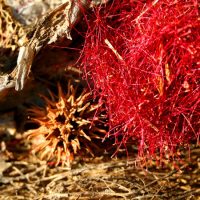 Clarins-Accomodation-Img6